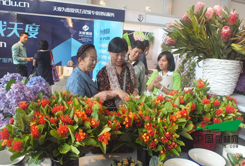 第十七屆昆明國(guó)際花卉展成功舉辦(圖4)