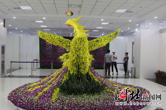 唐山市民快到世園會(huì)看國(guó)際精品蘭花展(圖1)