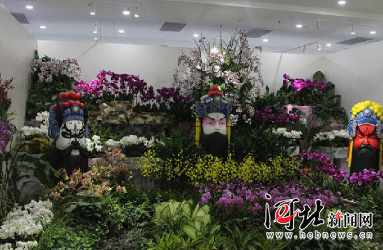 唐山市民快到世園會(huì)看國(guó)際精品蘭花展(圖2)