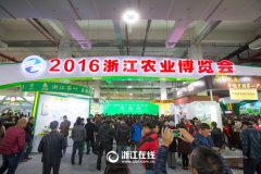 看展覽、嘗美食、囤年貨 2016浙江農(nóng)博會